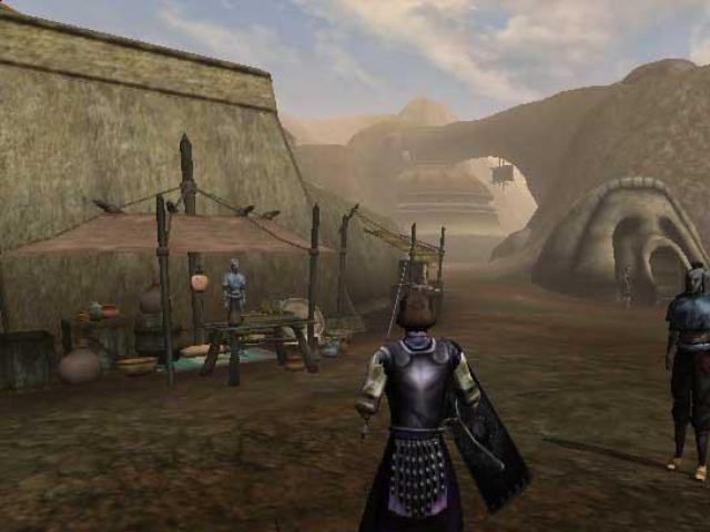Morrowind — Первый день — Сейда Нин