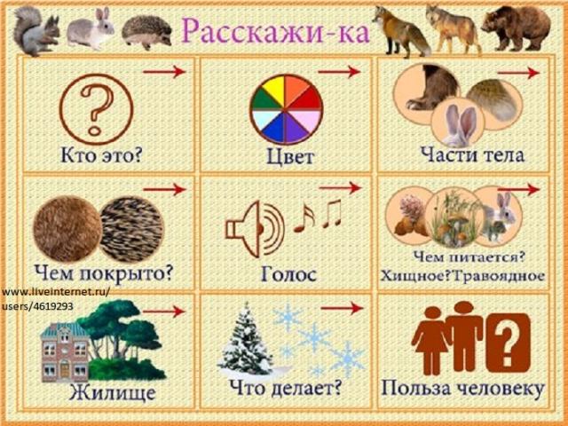 Didactic games for speech development Game on the topic of animals