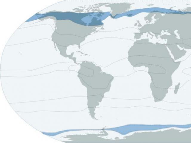 Климатическая карта Климатическая карта какая по содержанию