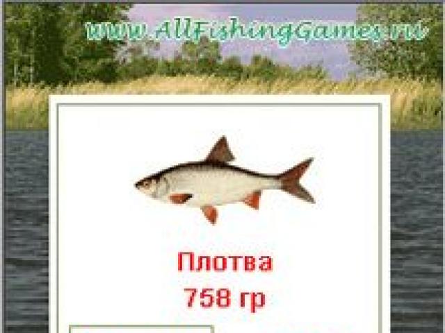 Russian fishing game for mobile Download Russian fishing game 2 5