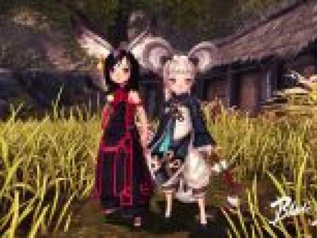 Overview of classes in the game Blade and Soul Blade and soul new race